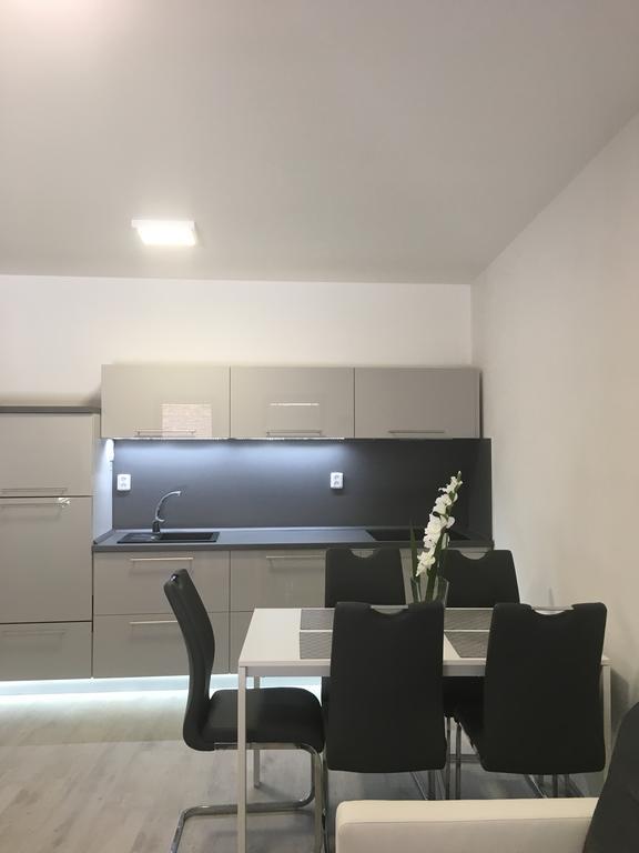Apartmany Sofia 利帕河畔卡梅尼采 外观 照片