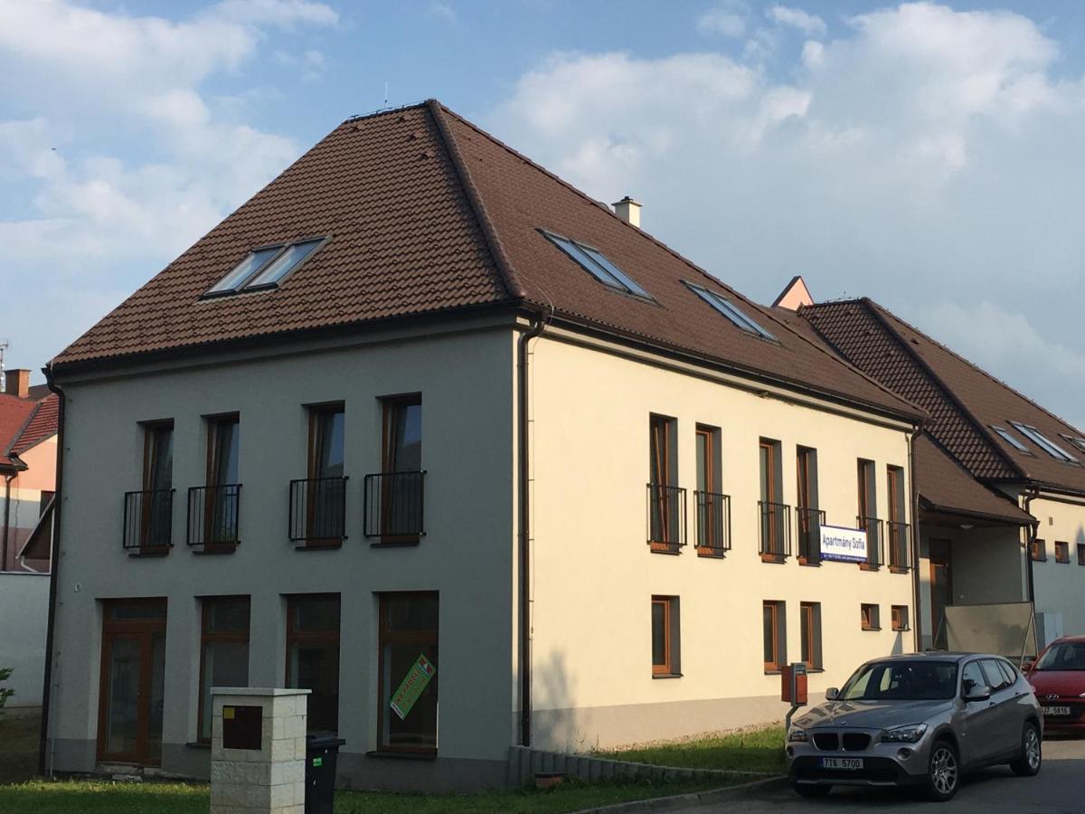 Apartmany Sofia 利帕河畔卡梅尼采 外观 照片