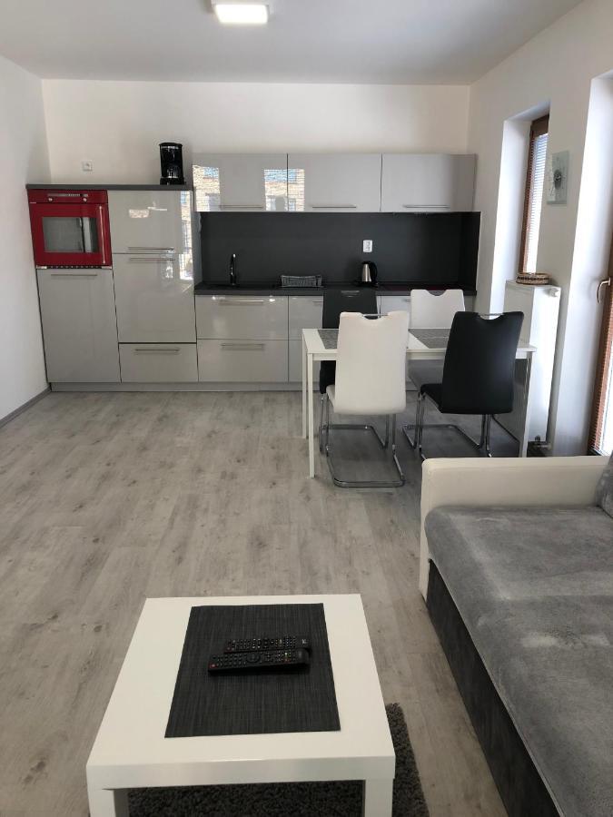 Apartmany Sofia 利帕河畔卡梅尼采 外观 照片