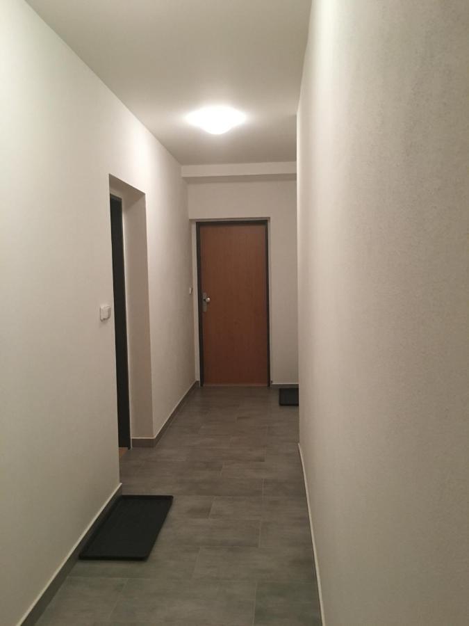 Apartmany Sofia 利帕河畔卡梅尼采 外观 照片