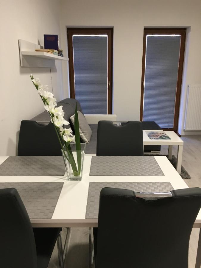 Apartmany Sofia 利帕河畔卡梅尼采 外观 照片